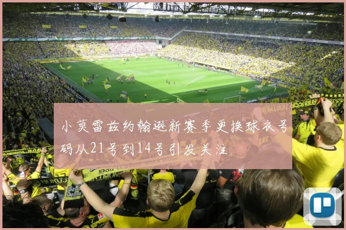 小莫雷兹约翰逊新赛季更换球衣号码从21号到14号引发关注