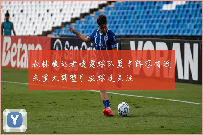森林狼记者透露球队夏季阵容将迎来重大调整引发球迷关注